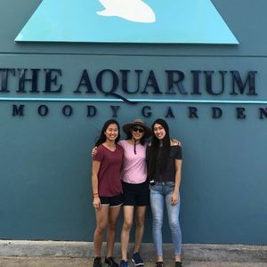 Meet your Posher, Nayoung